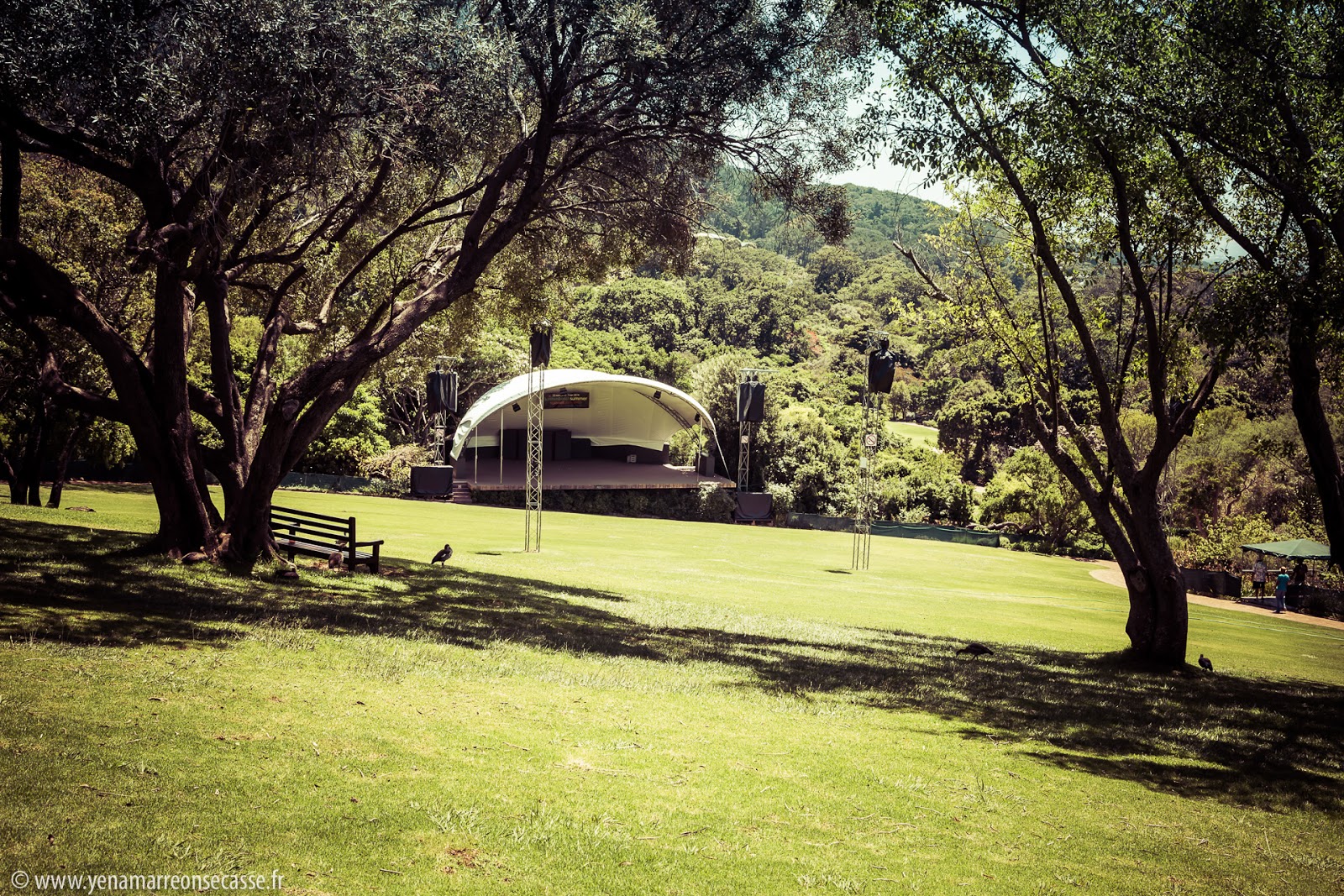 Le jardin botanique de Kirstenbosch