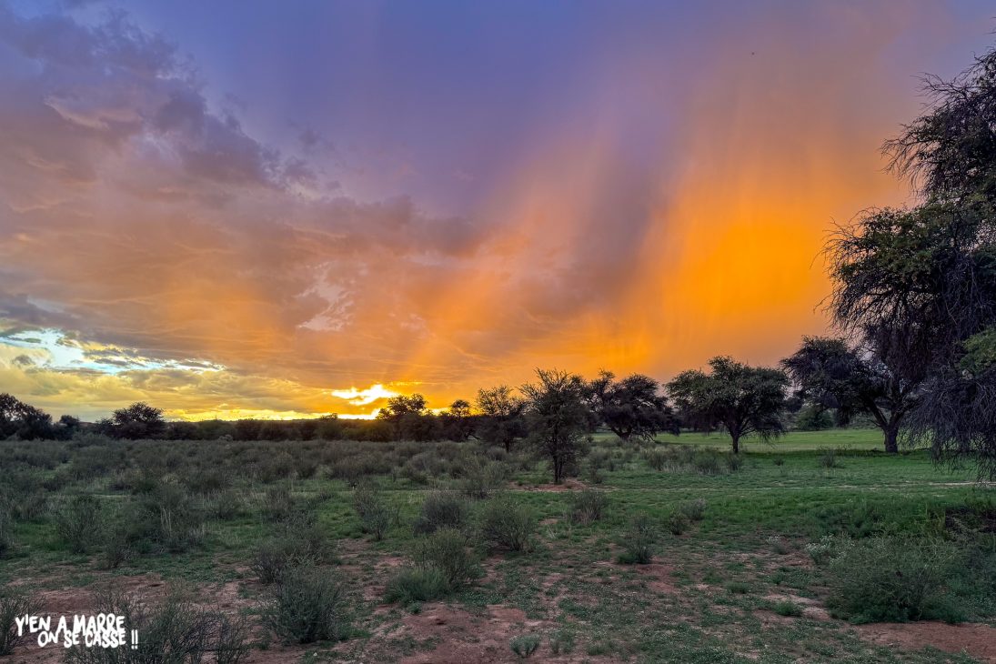 Ciel d’orage orangé au coucher du soleil sur le Kgalagadi