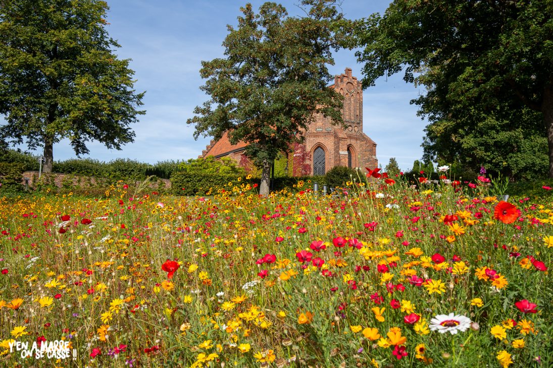 Parterre de fleurs devant une église en briques de Lund
