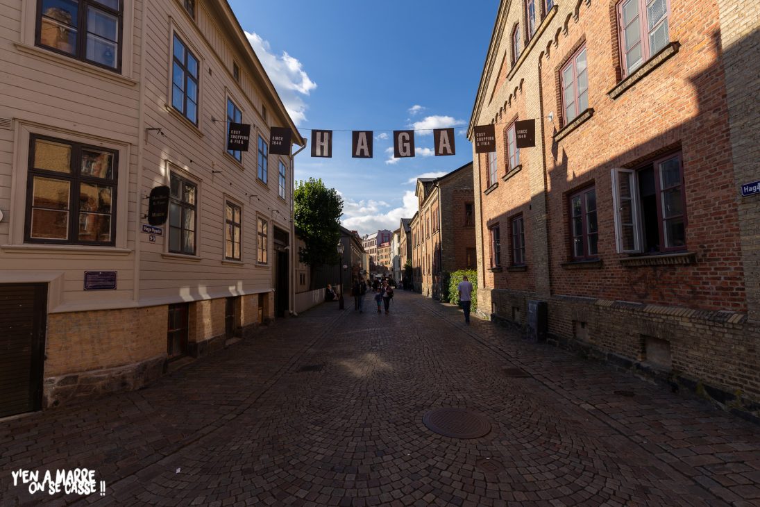 La rue pavée Haga Nygata dans le quartier de Haga