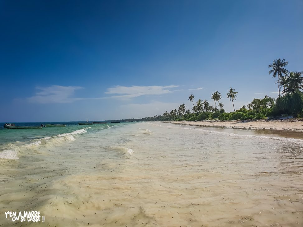 Longue plage de sable blanc bordée de palmiers sur la côte nord-est de Zanzibar